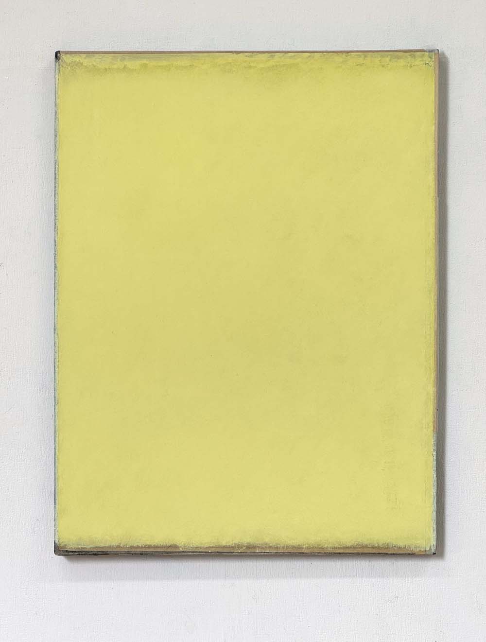 Jaromír Novotný - Péče o žlutou 